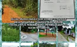 Dijual Murah Tanah Shm 53000m² Strategis Di Desa Argapura, Cigudeg, Kab. Bogorcocok Untuk Perkebunan