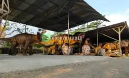 Tempat Pembuatan Patung Dinosaurus