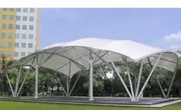 Canopy Membrane 