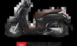 Honda Scoopy Prestige & Stylish