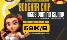 Terima Bongkar Chip Higgs Domino Island