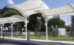 Canopy Membrane 