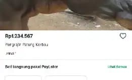 Patung Kerbau