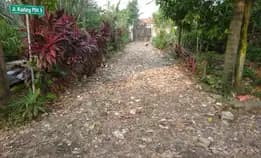 Jual Bu Tanah Disamping Villa Crndana Pamulang