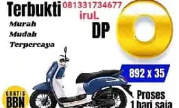 Scoopy Dp 0 