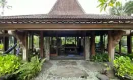 Dijual 38,5 Are Free Villa Lama, Jln. Bumbak Dauh Umalas Kerobokan Kuta Utara