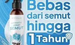 Wiselie Anti Semut