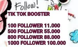 Follower Tik Tok