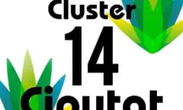 Promo Cluster 14 Ciputat