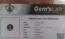 Natural Cat'S Eye Silimanite Asli 