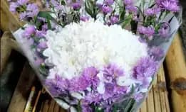 Buket Bunga Aster Ready Cimahi Bdg