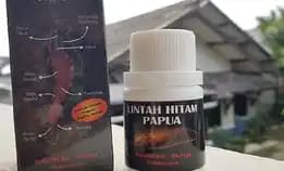 Minyak Lintahh Papua Original Pria Dewasa