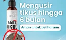 Semprotan Pengusir Tikus Alami Obat Pengusir Anti Tikus Ampuh