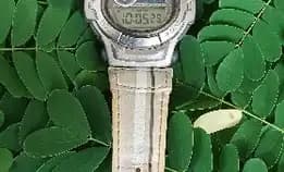 Casio G-Cool 