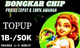 Terlaris Bongkar Chip Higgs Domino Terima Bongkaran