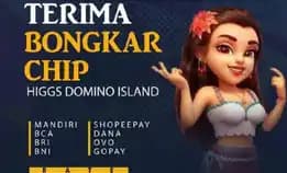 Terima Bongkaran Chip Higgs Domino Island Bongkar Chip Higgs Domino Island