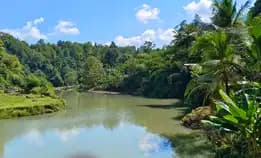 Tanah Kebun Los Sungai View Abadi Di Bali