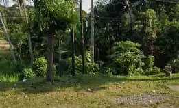 Dijual 1,262 Ha. Jl. Bypass Bagus Mantra Sebelah Taman Safari Cucukan Keramas Gianyar