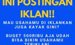 Jasa Iklan Google Organik Subang 081237379996