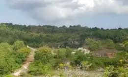 Dijual 11,371 Ha. Jl. Blimbing Sari Raya Uluwatu Pecatu Kuta Selatan