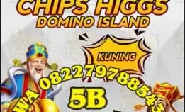 Kusus Bongkar Chips Hig Dmno  Wa 0822-7978-8543