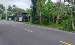 Dijual 1,3939 Ha. Jl. Raya Denpasar Singaraja Werdhibuana Mengwi Badung