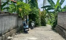 Dijual 4 Are, Jl. Campuan Veteran Buduk Mengwi Badung