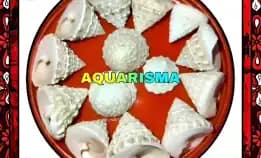 3 Pcs Cangkang Keong Kerucut Tumpeng Piramida Rabunan Pagoda Tectus Mauritianus Grade A+