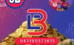 Terima Bongkar Chip Hdi Dan Royal Wa 083190573615