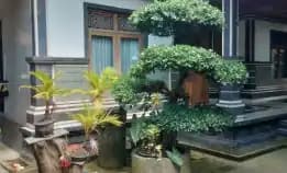 Dijual 5 Are Free Rumah Layak Huni, Jl. Juwetsari Pemogan Denpasar