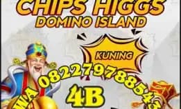 Jual Beli Trima Bongkar Chips Hig Dmno Wa 0822-7978-8543