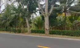 Dijual 3,075 Ha. Jl. Pekutatan Antosari Raya Denpasar Gilimanuk Pangyangan Jembrana