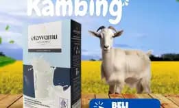 Jual Susu Kambing Etawa Surabaya, 0852-9324-9435 Diskon Bpom