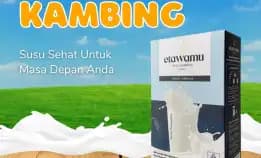 Jual Susu Kambing Etawa Badung, 0852-9324-9435 Diskon Bpom