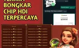 Link Khusus Terima Bongkar Chip Hdi Aman Terpercaya Wa:082185635684