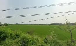 Dijual Tanah Sawah Luas Shm Di Desa Bakung Tangerang