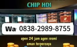 Agen Resmi Bongkar Chip Hdi Dan Chip Rd