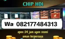 Agen Resmi Bongkar & Top Up Chip Hdi Wa 082177484313.