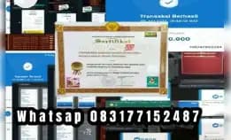 Disini Melayani Jual Beli Chip Royal Dream Dan Hdi Tentu Saja Amanah Wa 083177152487