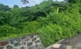 Dijual 4,55 Are, Jl. Munduk Kalampuak Batu Bolong Subak Canggu Kuta Utara