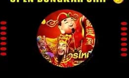 Agen Chip Hdi Terima Bongkarran 24 Jam