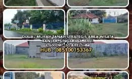 Dijual Murah Tanah Strategis Area Wisata Banjar, Singaraja, Buleleng, Bali.L.6000m² (60 Are) Shm. 