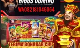 Terima Bongkaran Chip Dmino Dan Royal Dream