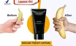 Lacoco Mr Big Obat Herbal Penambah Ukuran Besar Panjang Kuat Tahan Lama Asli Original