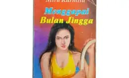 Novel Buku Indonesia Mila Karmila Menggapai Bulan Jingga