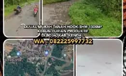 Dijual Murah Tanah Hook Shm 1300m² Kebun Durian Di Boja, Kab. Kendal.Wa:082225997732* Tanah Shm Hook