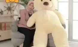 Boneka Jumbo Teddy Bear Beruang Besar Sni