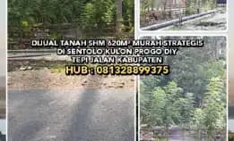 Dijual Tanah Shm 620m² Murah Strategis Di Sentolo Kulon Progo Diy. Tepi Jalan Kabupaten.