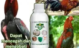 Ecovet Nutrisi Untuk Hewan Peliharaan/Ternak