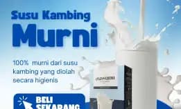 Jual Susu Kambing Etawa Trawas, 0852-9324-9435 Diskon Bpom